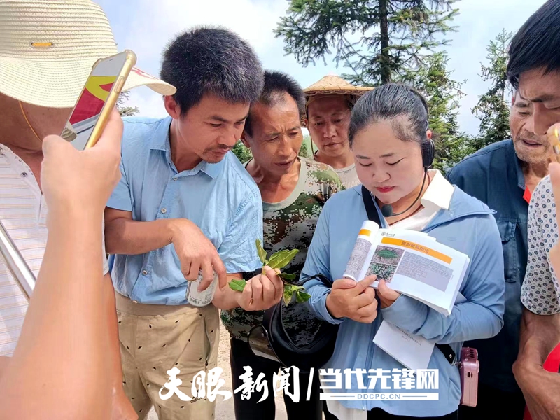 1665392251612462.jpg 微信图片_20221010165211.jpg