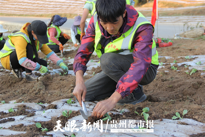 1651578322166170.jpg W020220503657619141034.jpg