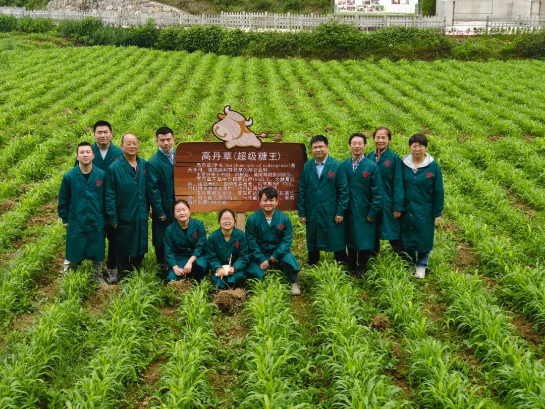 20221009135300191.jpg 20221009135300191.jpg